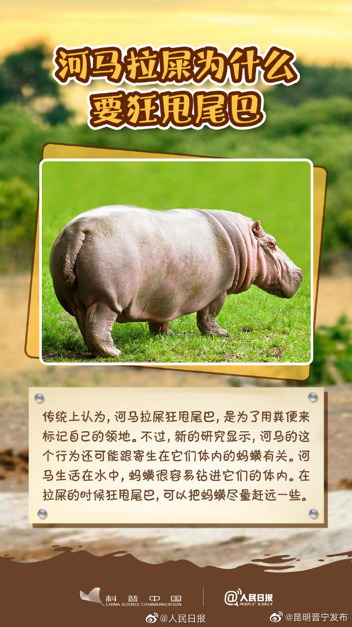 昆明晋宁发布