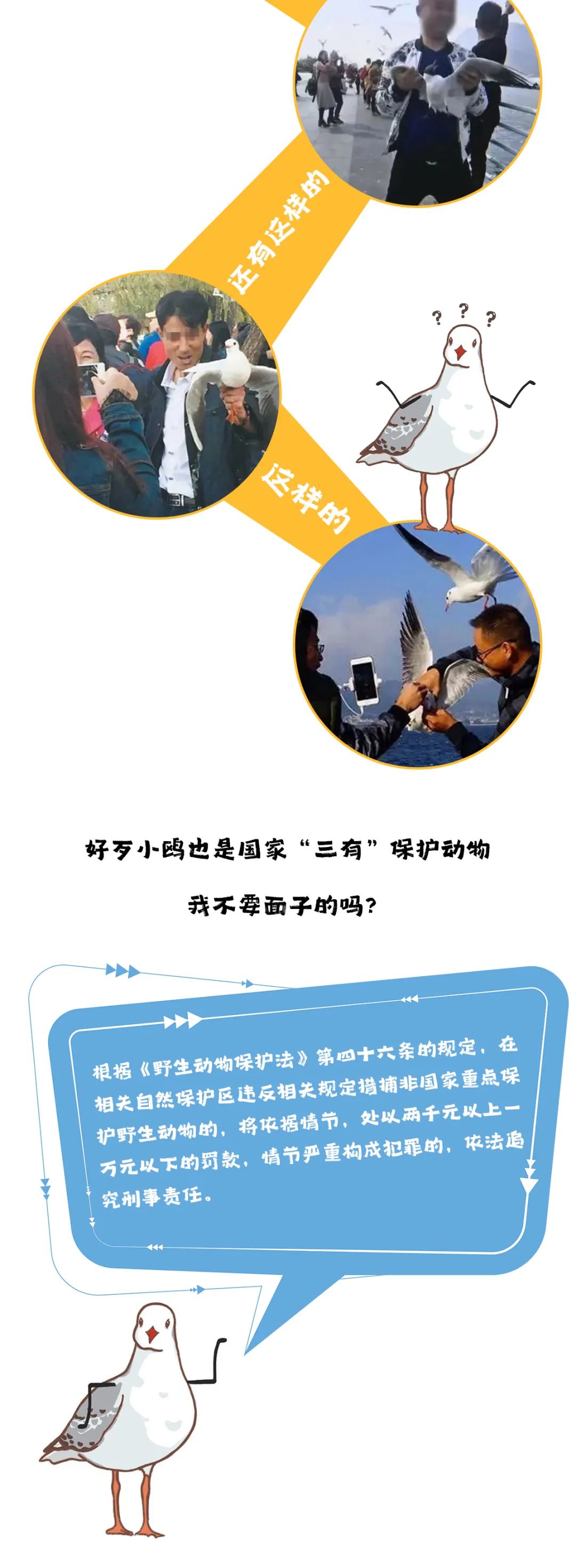 滇池度假发布