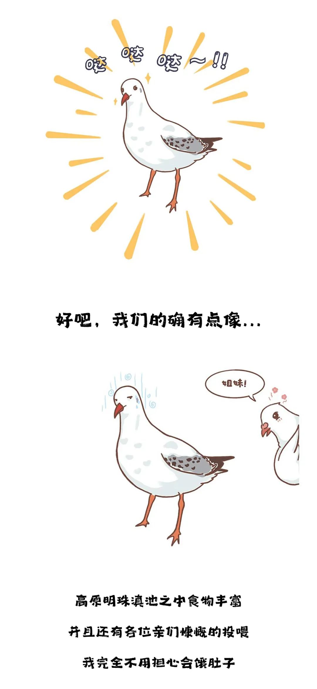 滇池度假发布