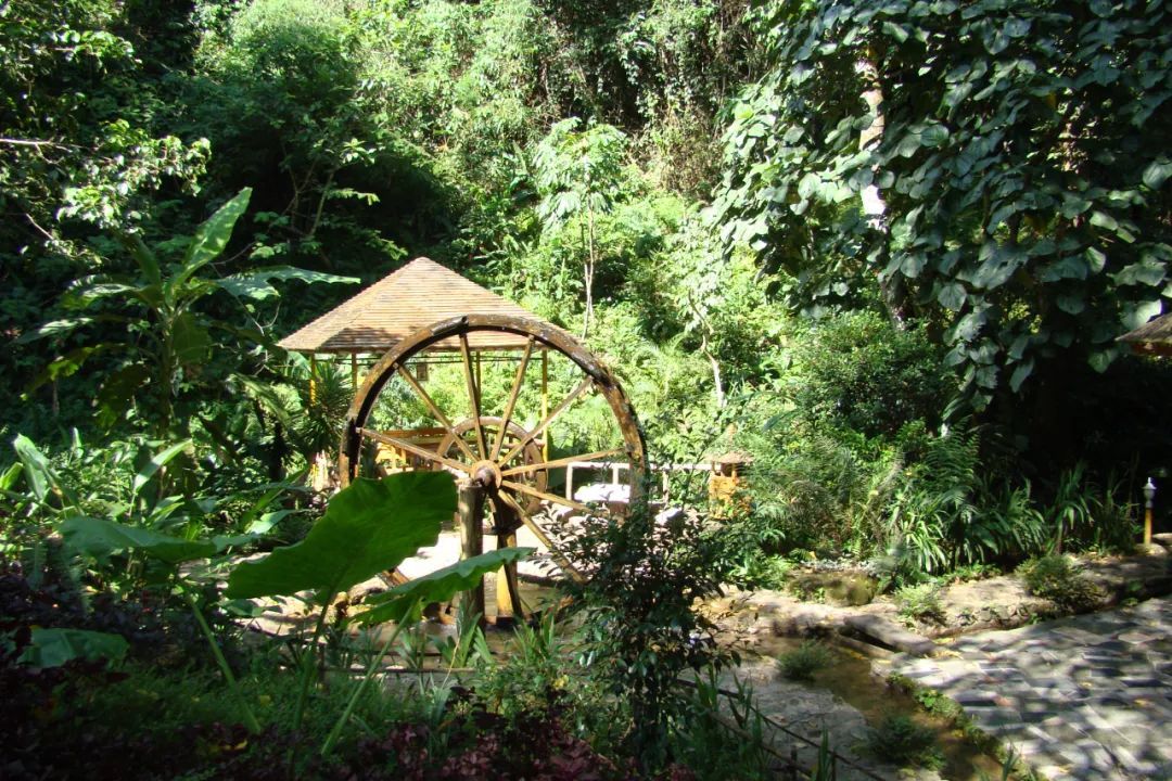 云南省文化和旅游厅