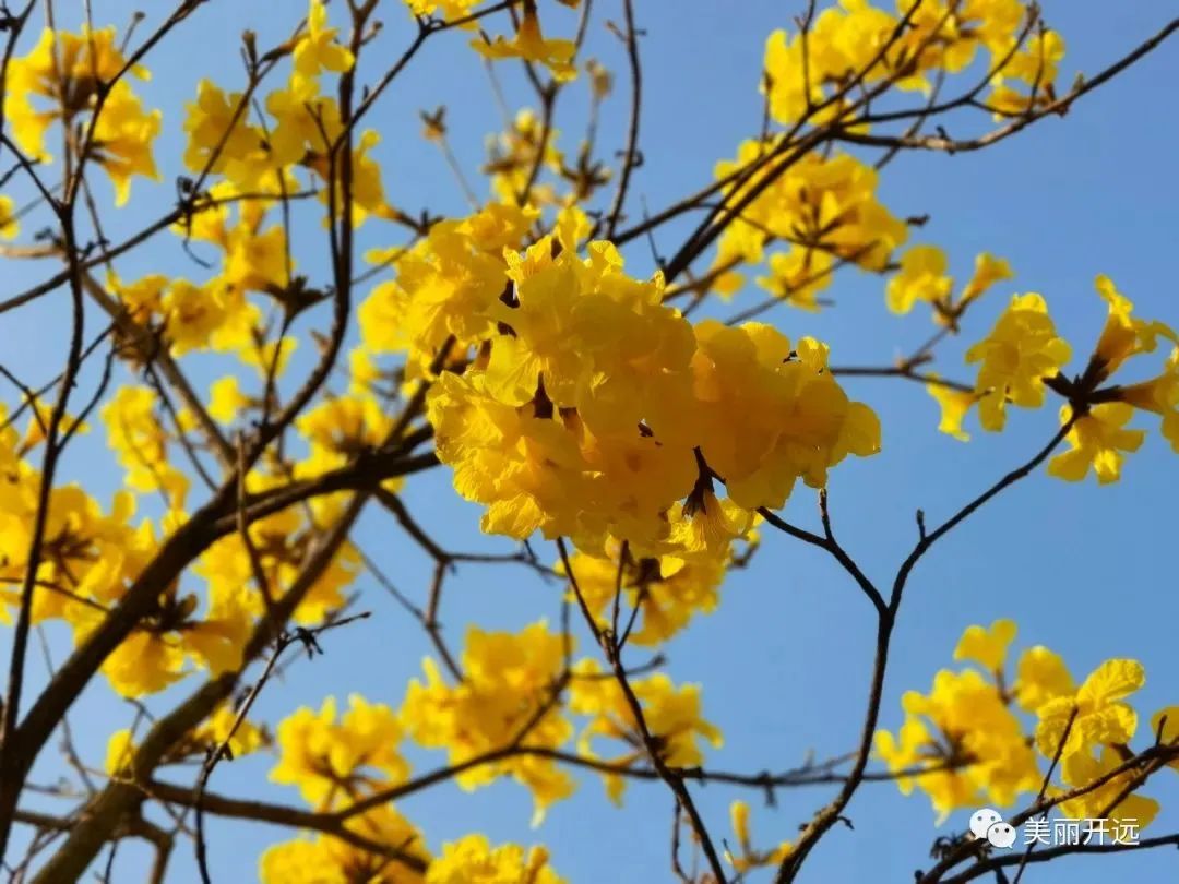 红河日报