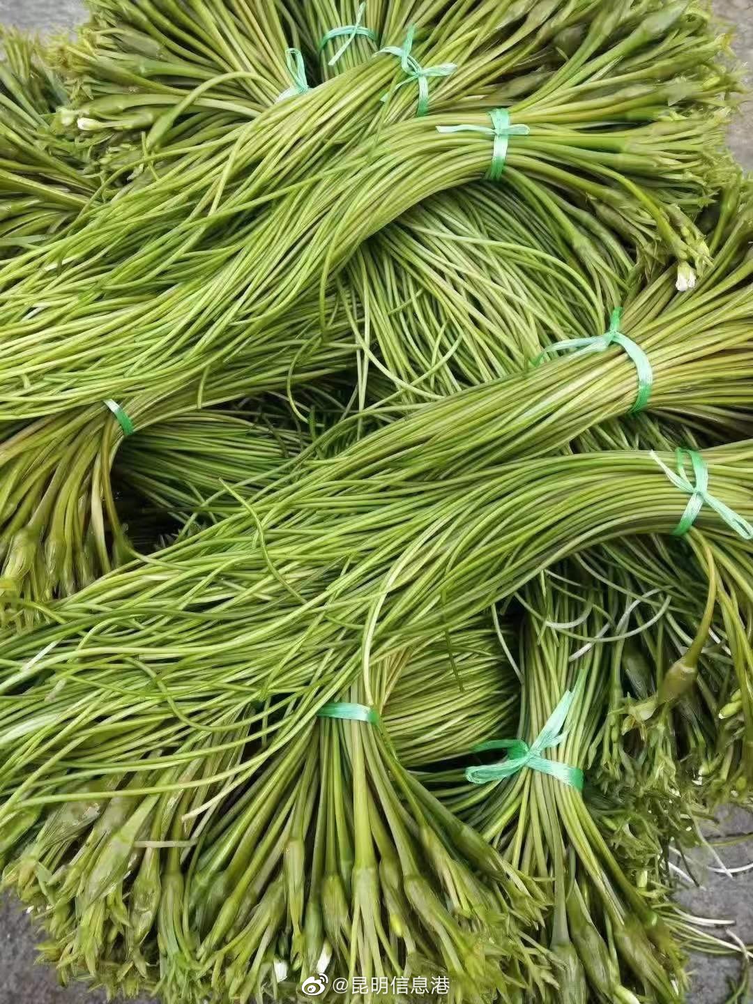 昆明信息港（微博）