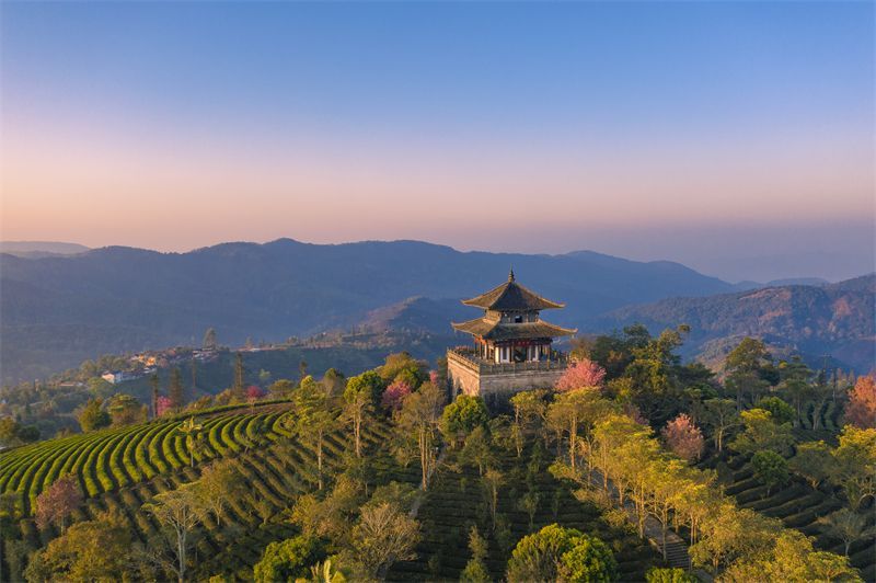 云南省文化和旅游厅