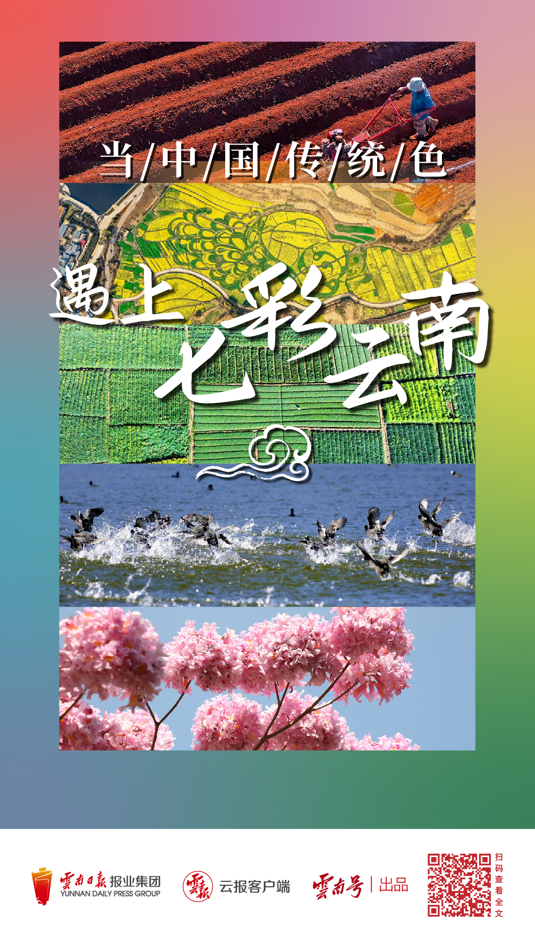 云南省文化和旅游厅