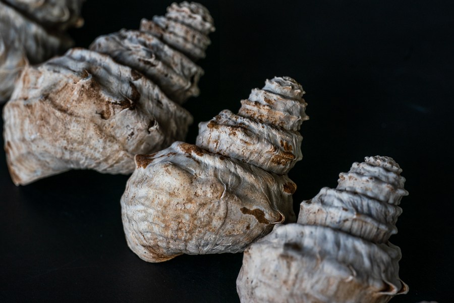 云南省文化和旅游厅