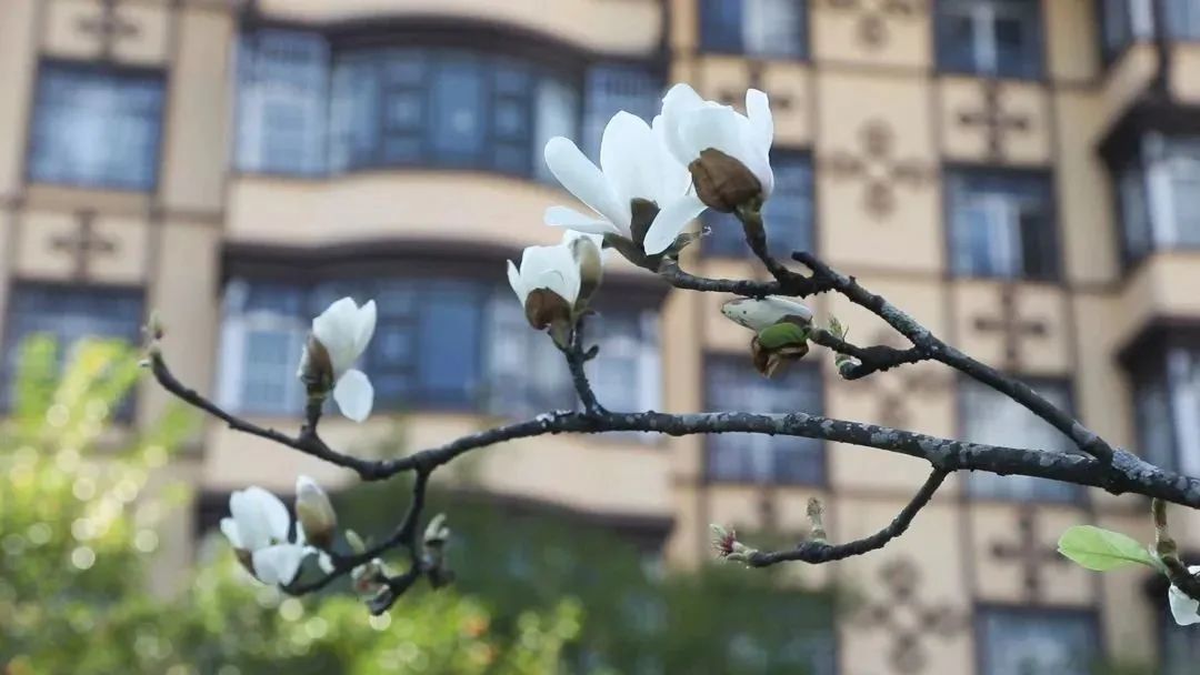 红河日报