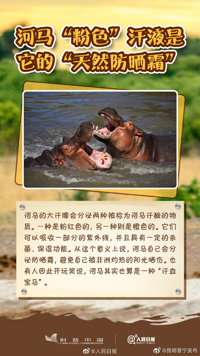 昆明晋宁发布