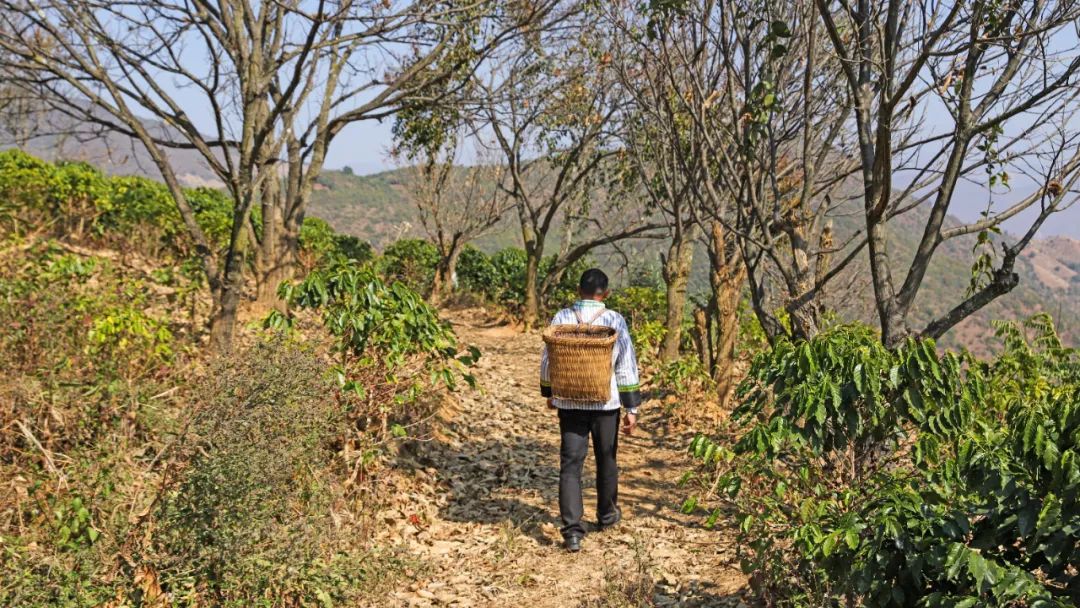 一部手机游云南