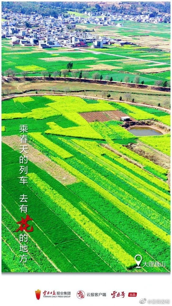 呈贡发布