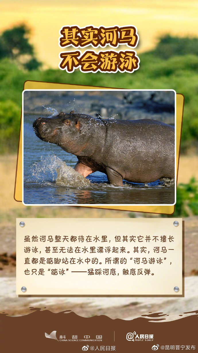 昆明晋宁发布