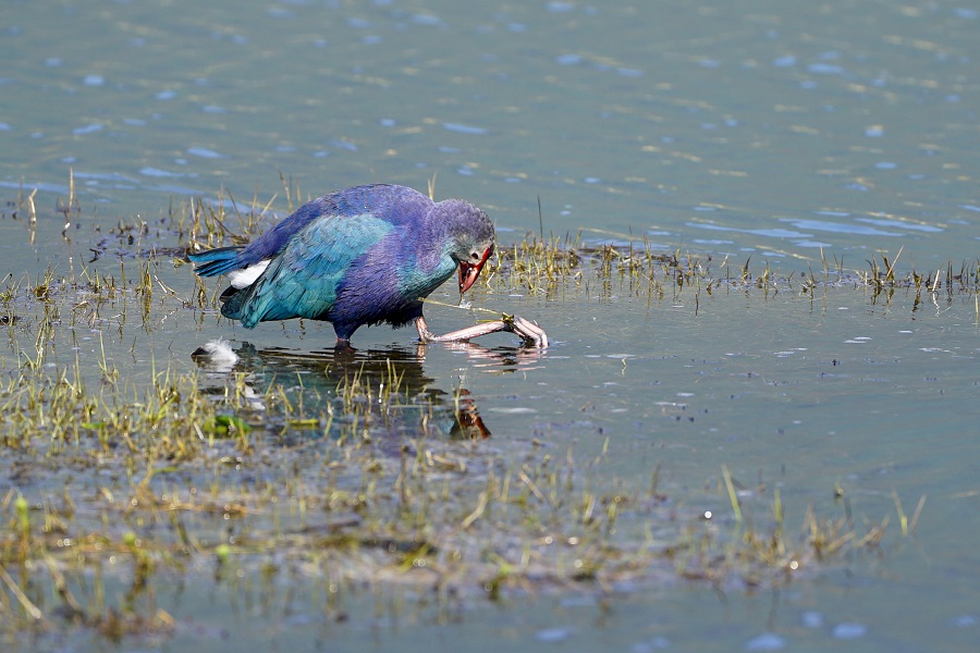 新华网云南频道