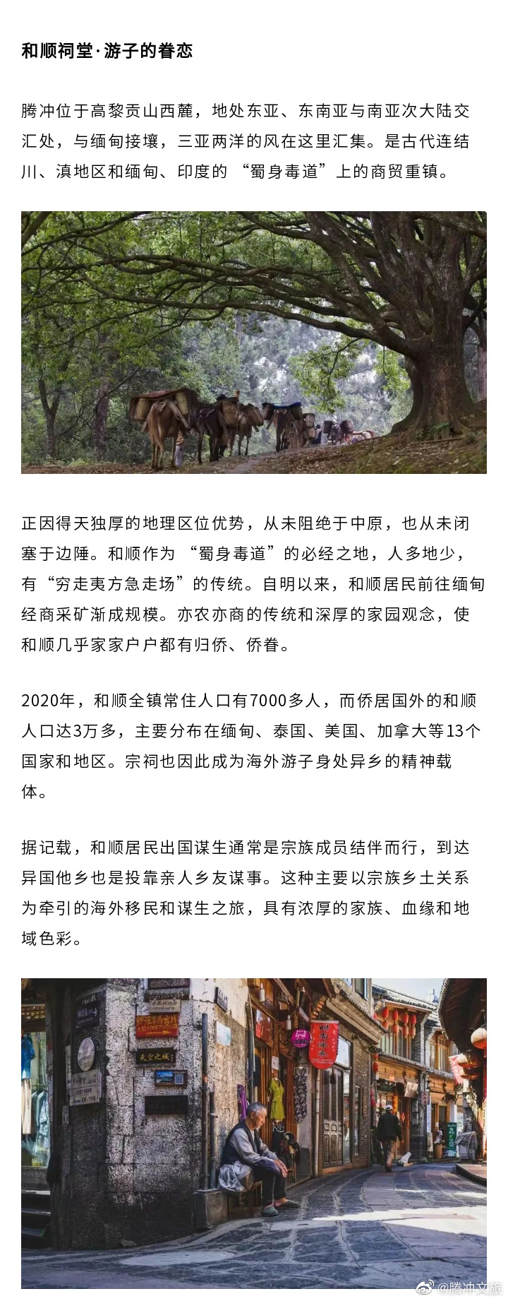 腾冲文旅微博