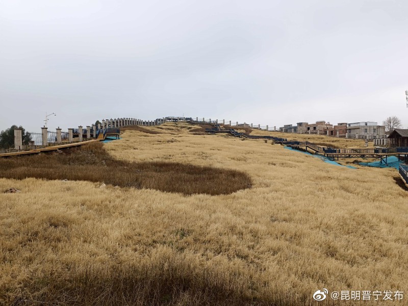 昆明晋宁发布