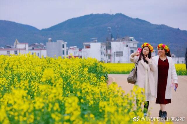 昆明市西山区发布