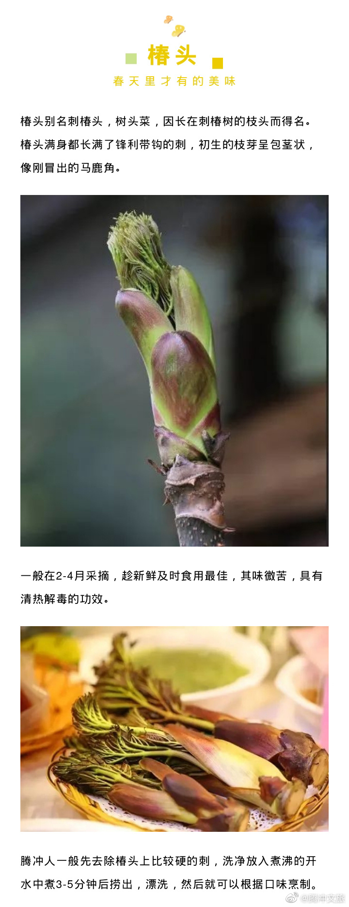 腾冲文旅微博