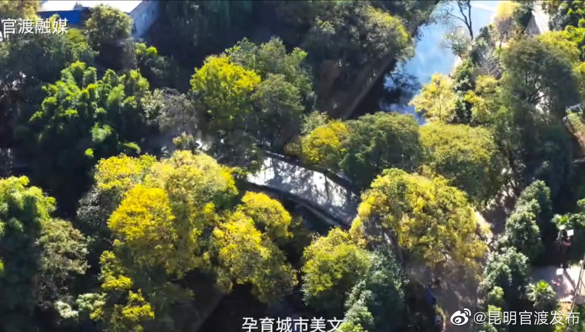 寻迹宝象河 看见新官渡（七）蹉跎桥