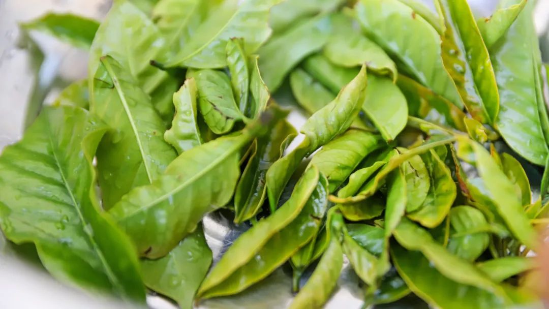 一部手机游云南