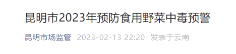 昆明信息港/cnkmxxg