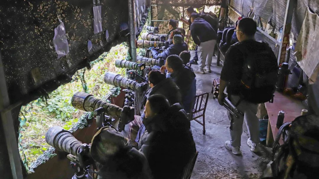 一部手机游云南