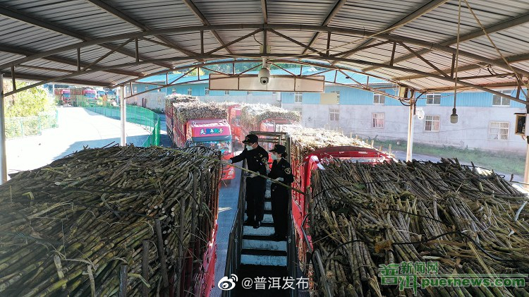 勐康口岸进出口货运量首次突破20万吨