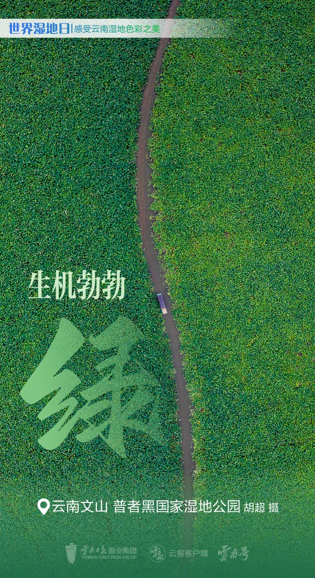 红河日报