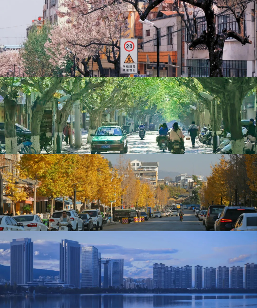 保山新闻网