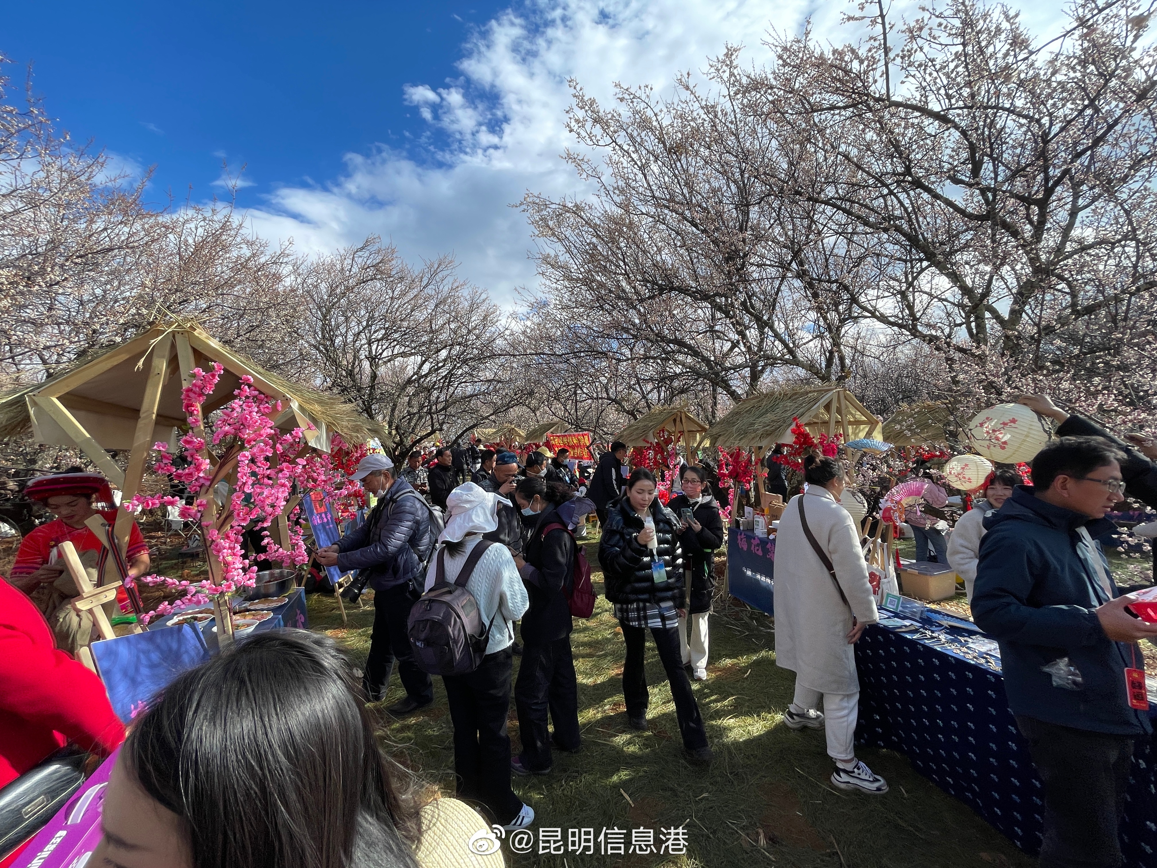 昆明信息港（微博）