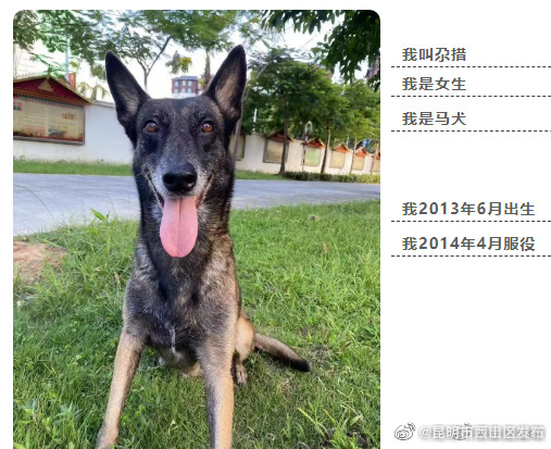 昆明市西山区发布