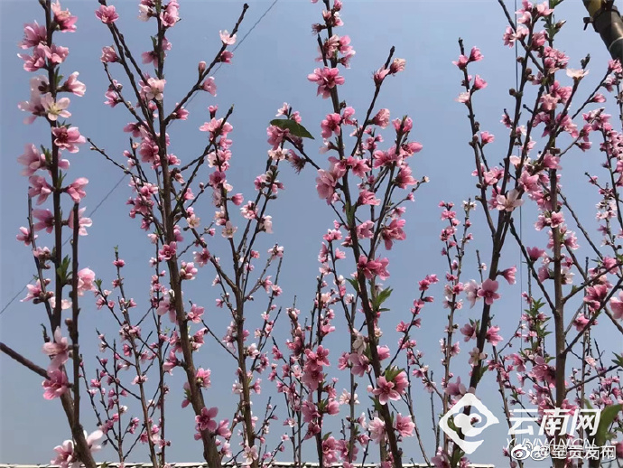 呈贡发布