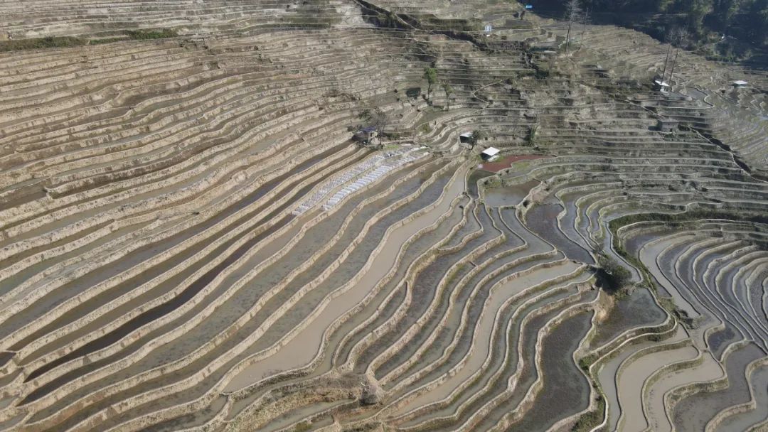 红河日报