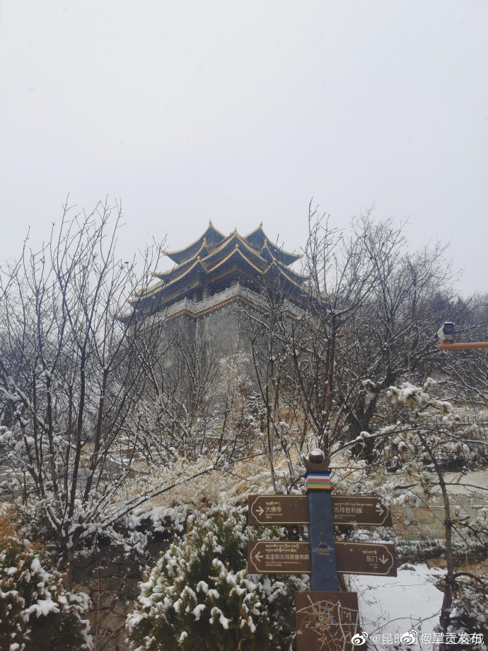 呈贡发布