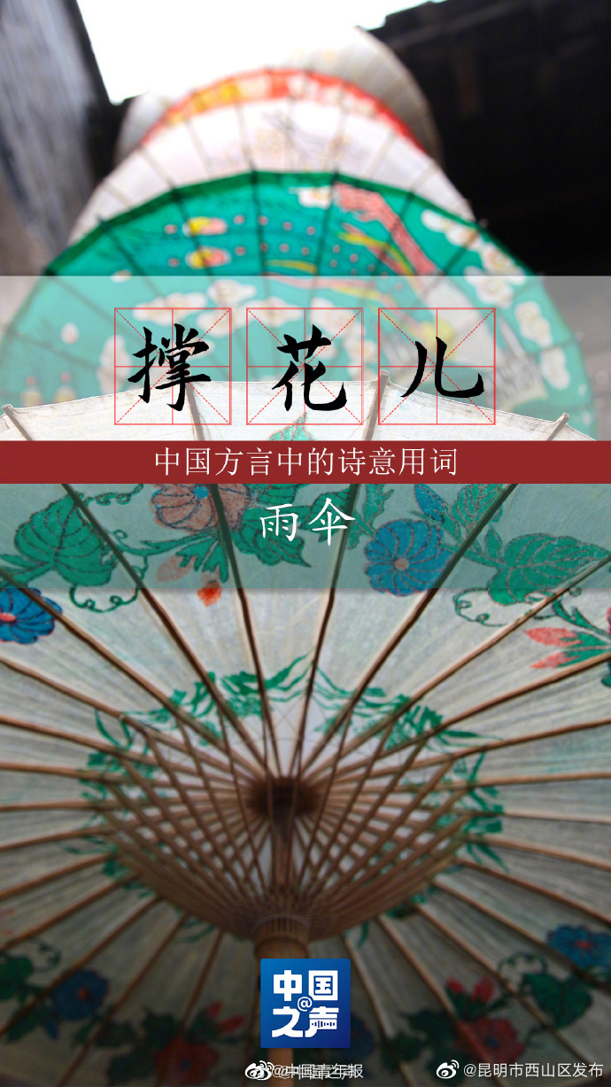 昆明市西山区发布