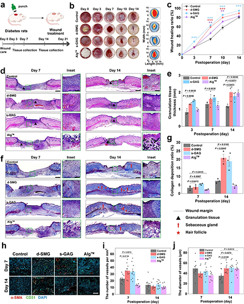 美丽云南微科普