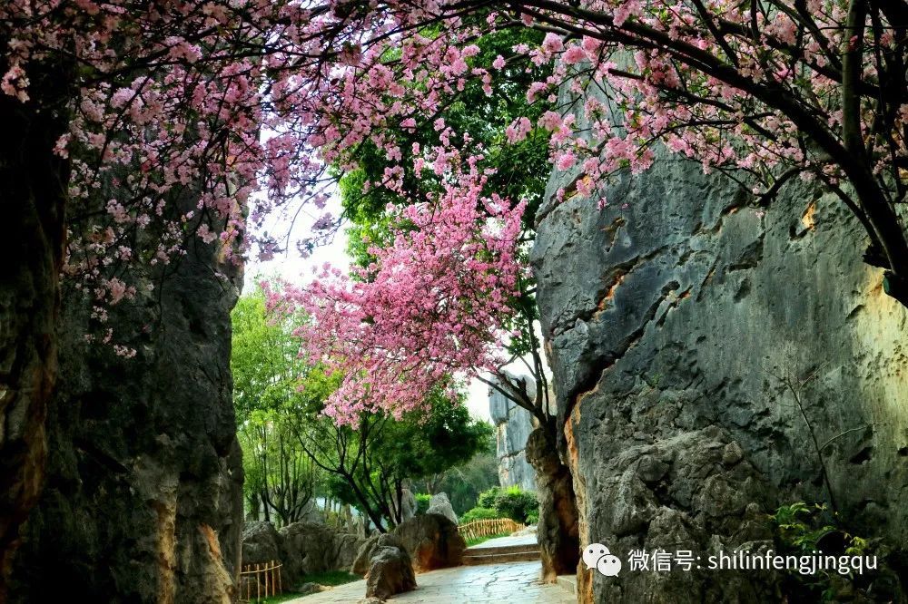 云南省文化和旅游厅