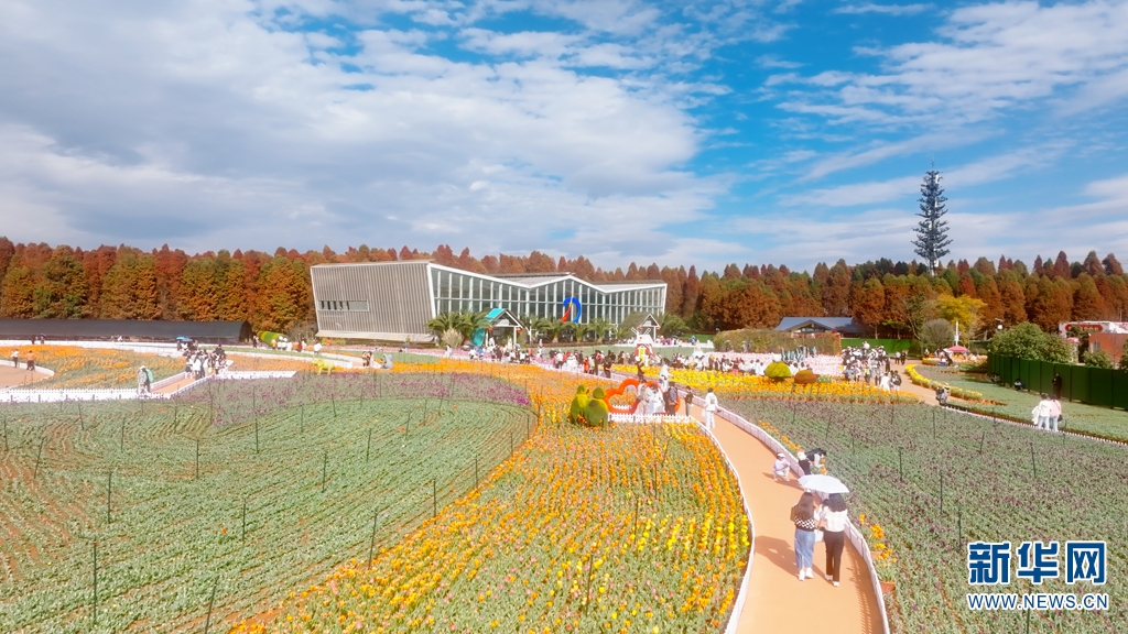 云南省文化和旅游厅