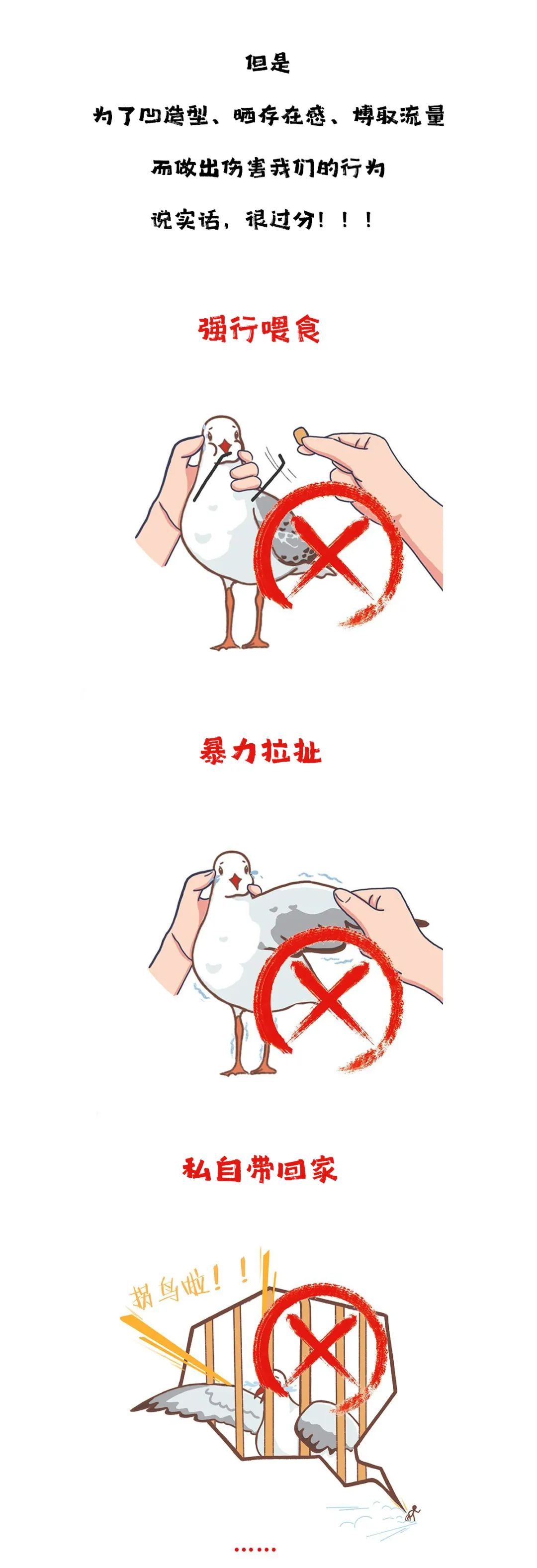 滇池度假发布