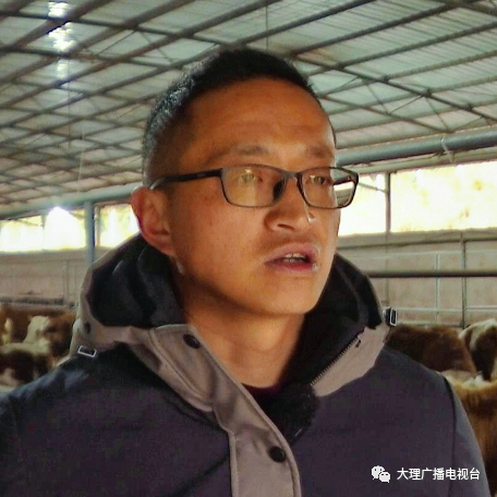 大理电视台