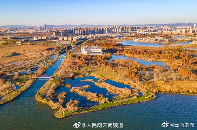 “云南发布”微博