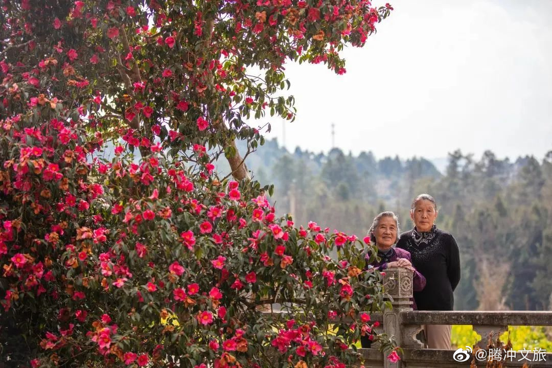 腾冲文旅微博