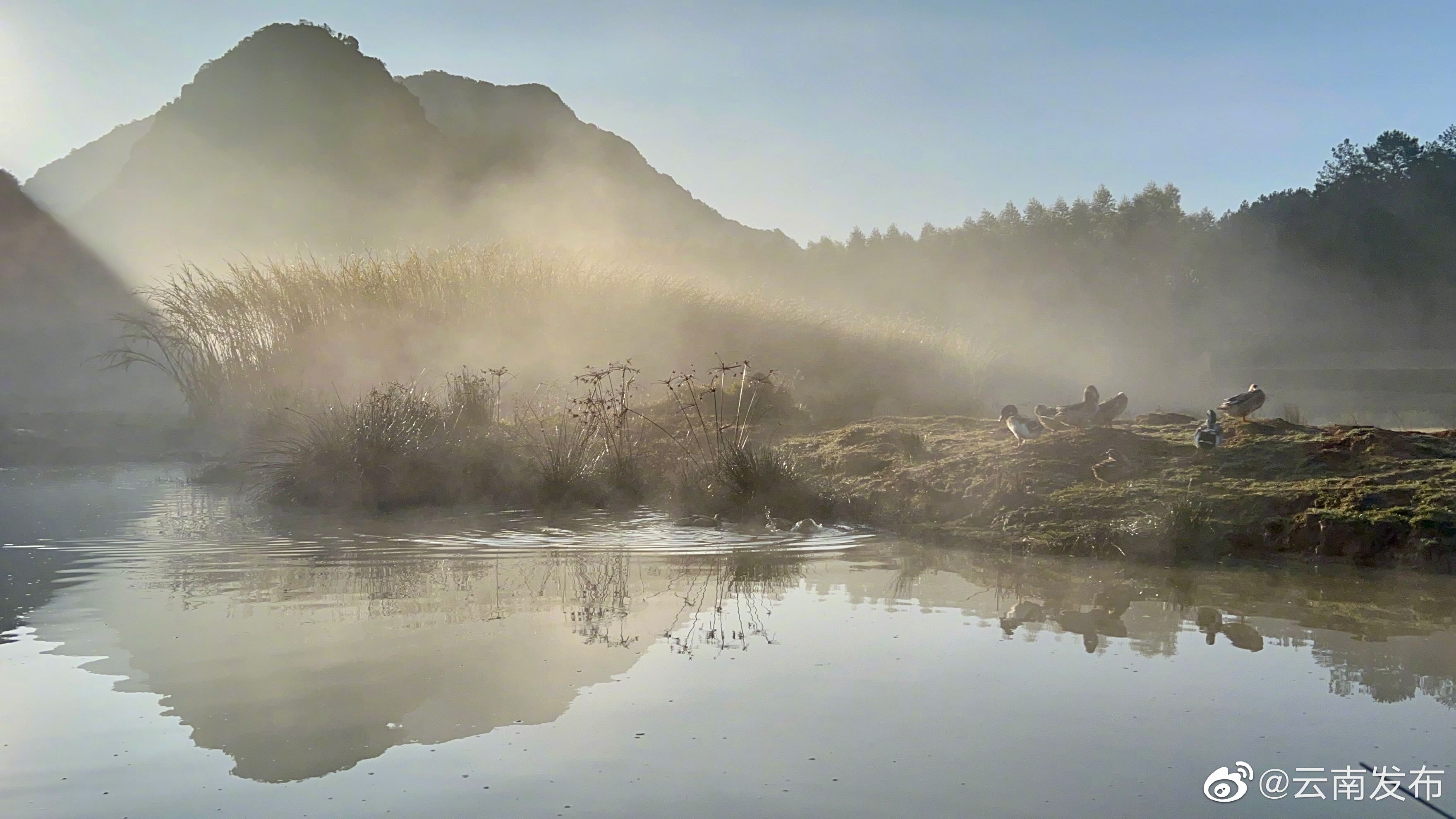 “云南发布”微博