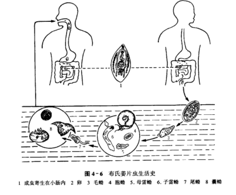 美丽云南微科普