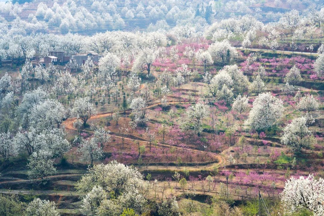 一部手机游云南