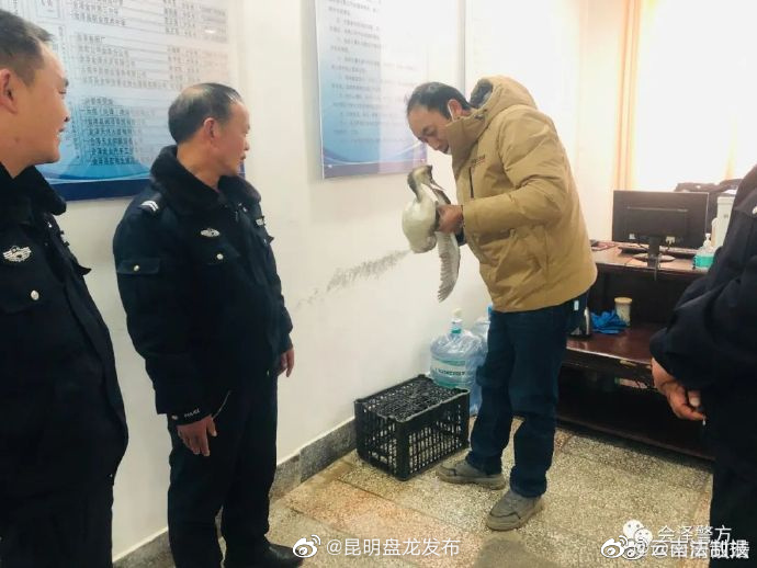 昆明盘龙发布