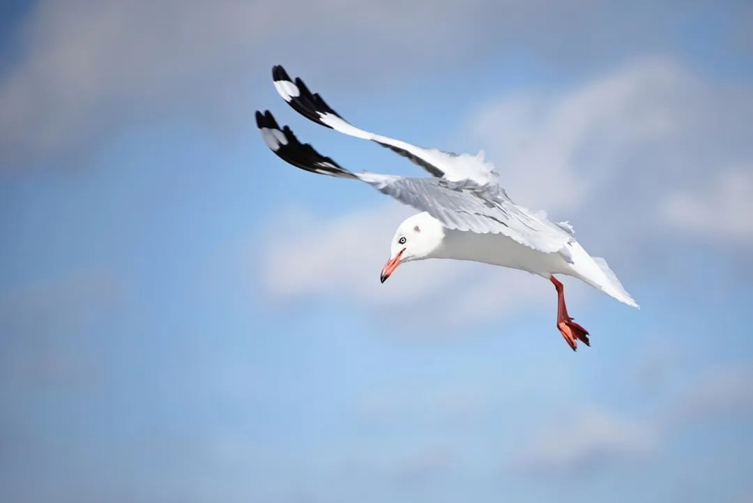 昆明交警