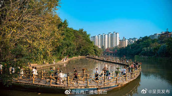 呈贡发布