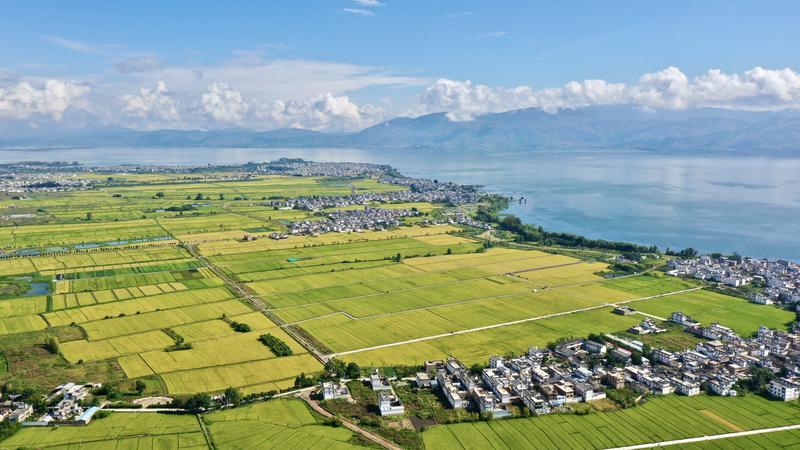 云南省文化和旅游厅