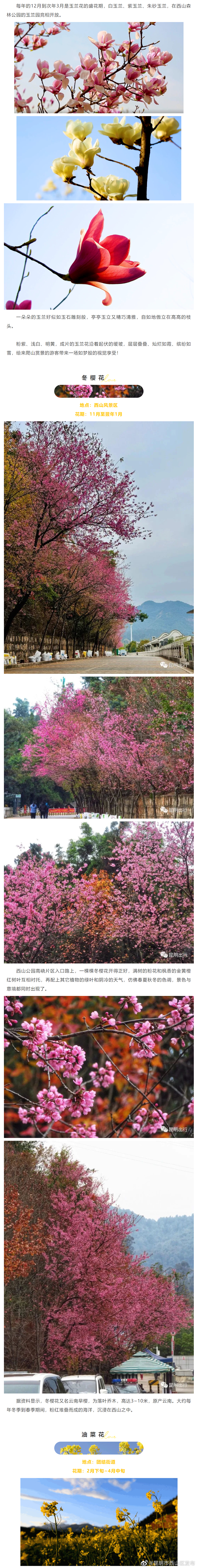 昆明市西山区发布