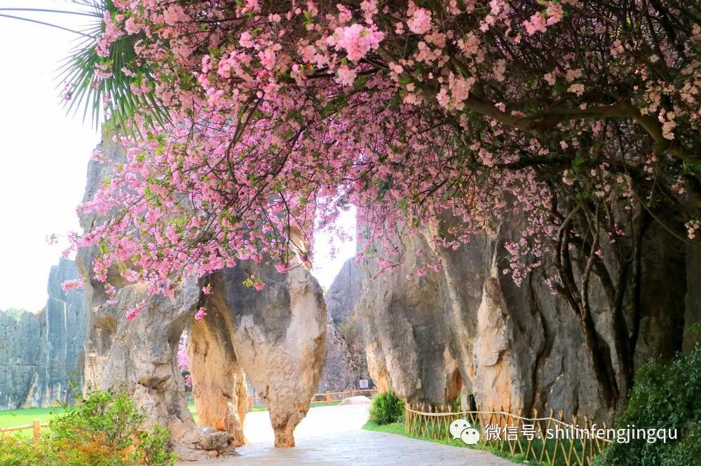 云南省文化和旅游厅