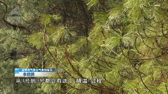 滇池度假发布