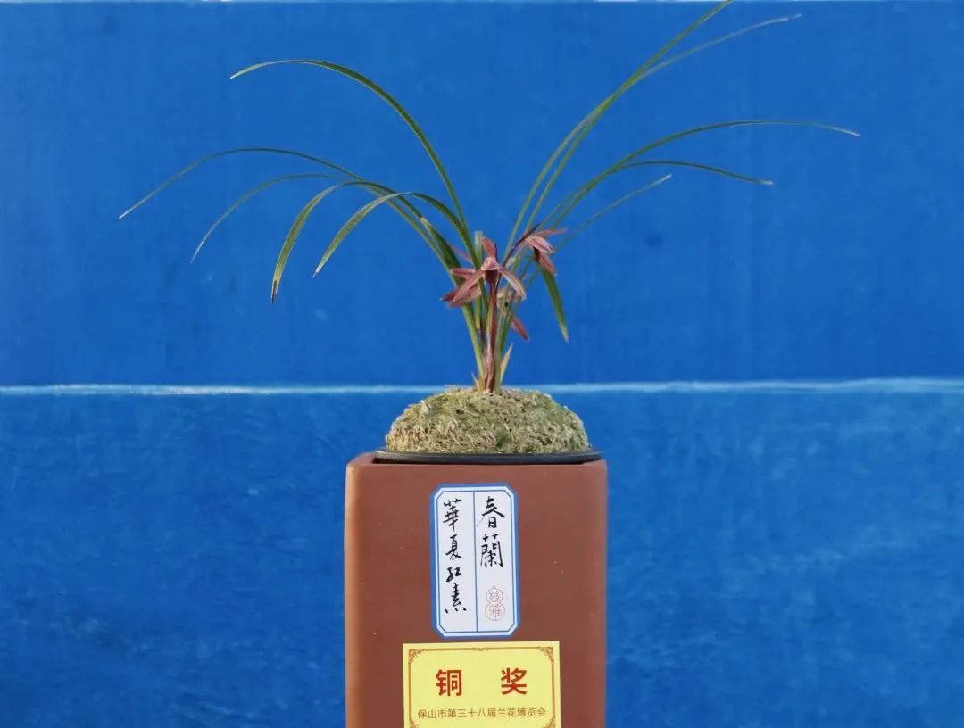 保山新闻网